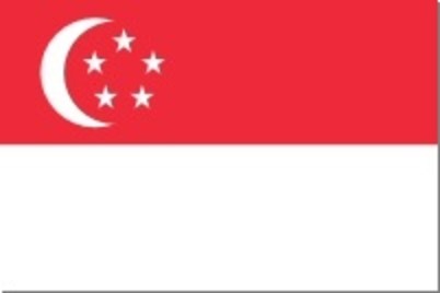 Singaporean Flag Small